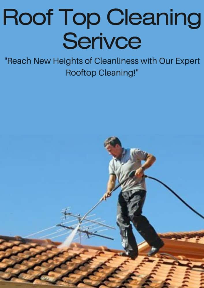 Roof Cleaning